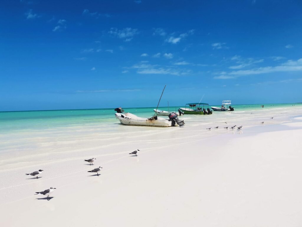 Holbox sala